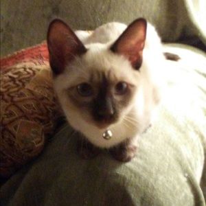 Meet your Posher, Beverly